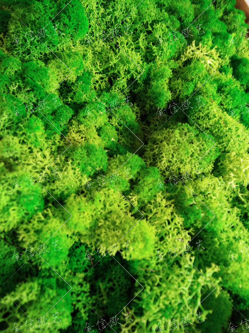 永生苔蘚墻,北京永生苔蘚墻定制