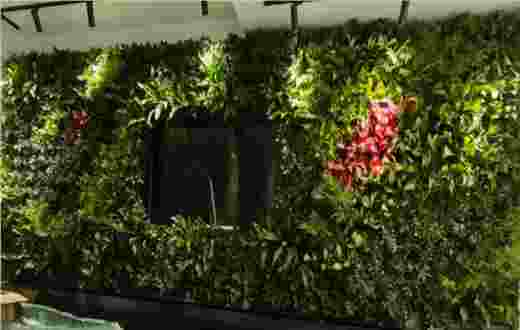 帶媒體播放器的定制綠植墻案例